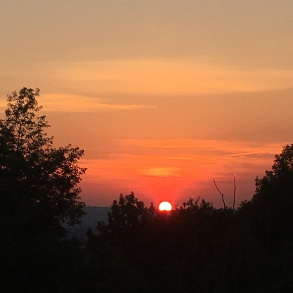 Meet your Posher, Robin - Picture 1 of 1